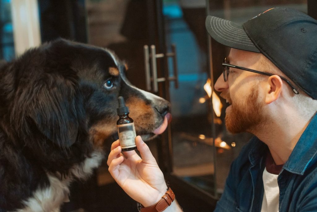 Cbd oils for dogs with cancer