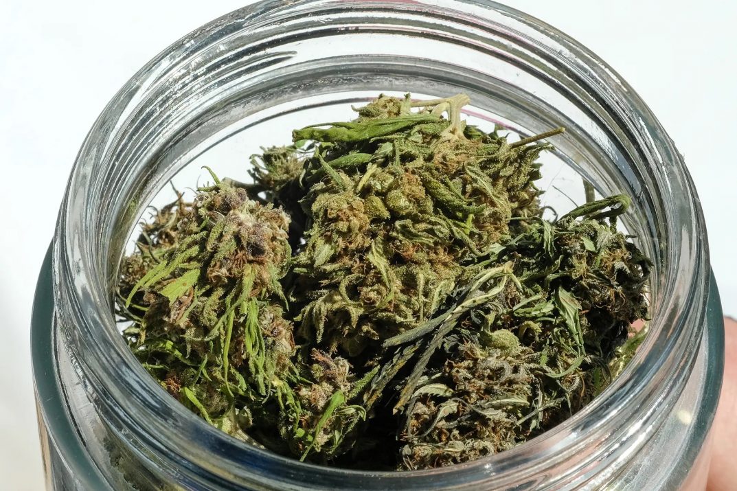 Cannabis for Effective Pain Treatment in Australia