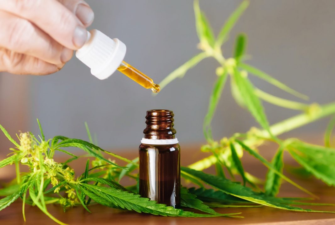 Risks involved in Shopping CBD Tincture From Budpop