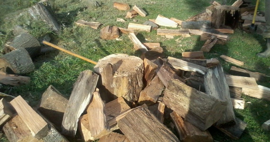 Warmth Delivered: Quality Firewood for Sale to Ignite Your Comfort