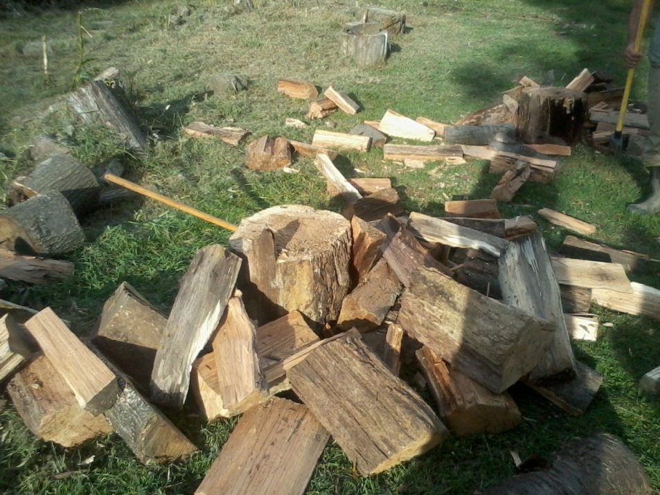 Quality Firewood for Sale