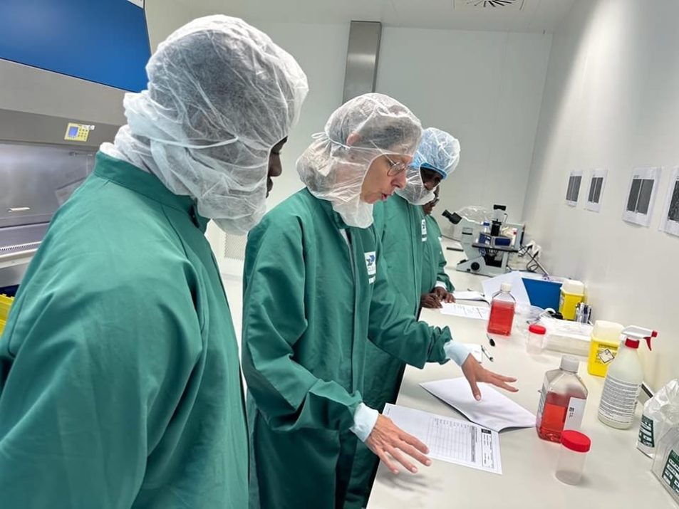 Empower Your Team: Access Online FDA and GMP Certification Courses for ...